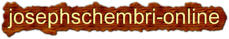 Schembrionics banner